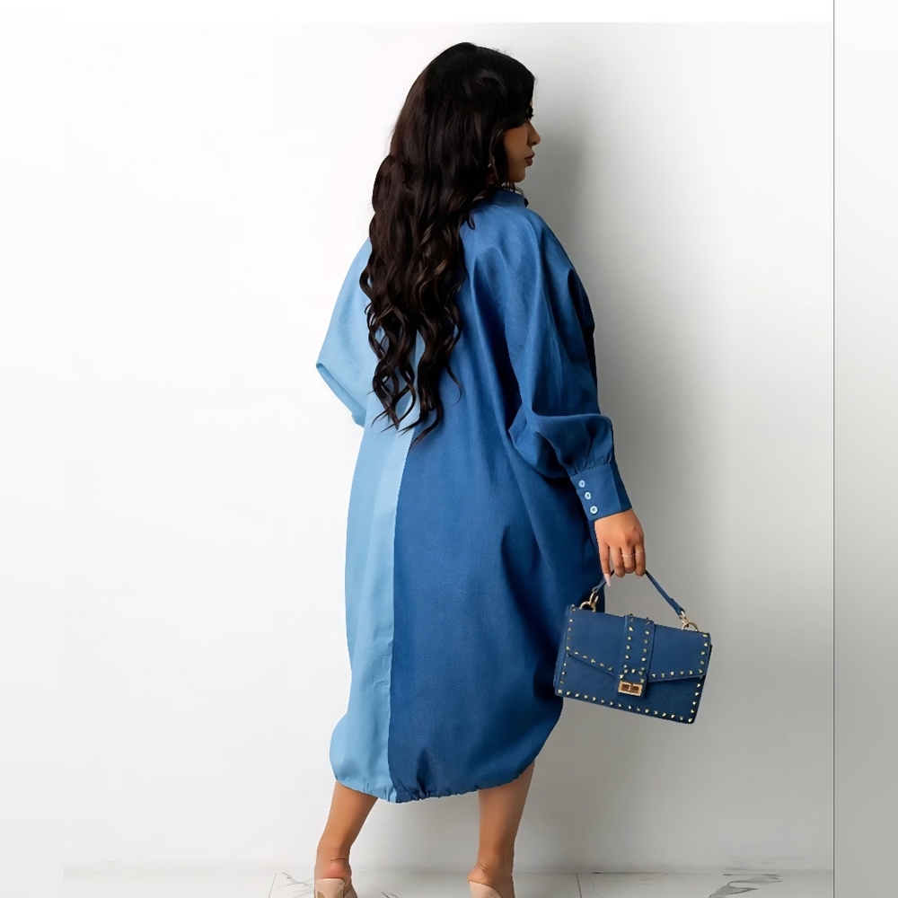 Two-Tone Color Block Button-Up Dress - Picture 2 of 10